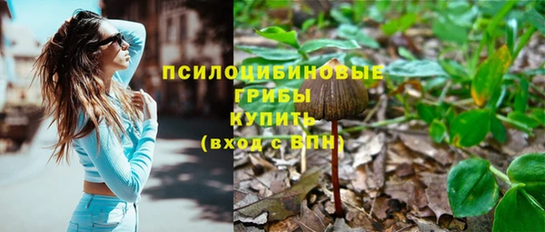 каннабис Алексеевка